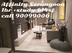 Affinity At Serangoon (D19), Apartment #175570792